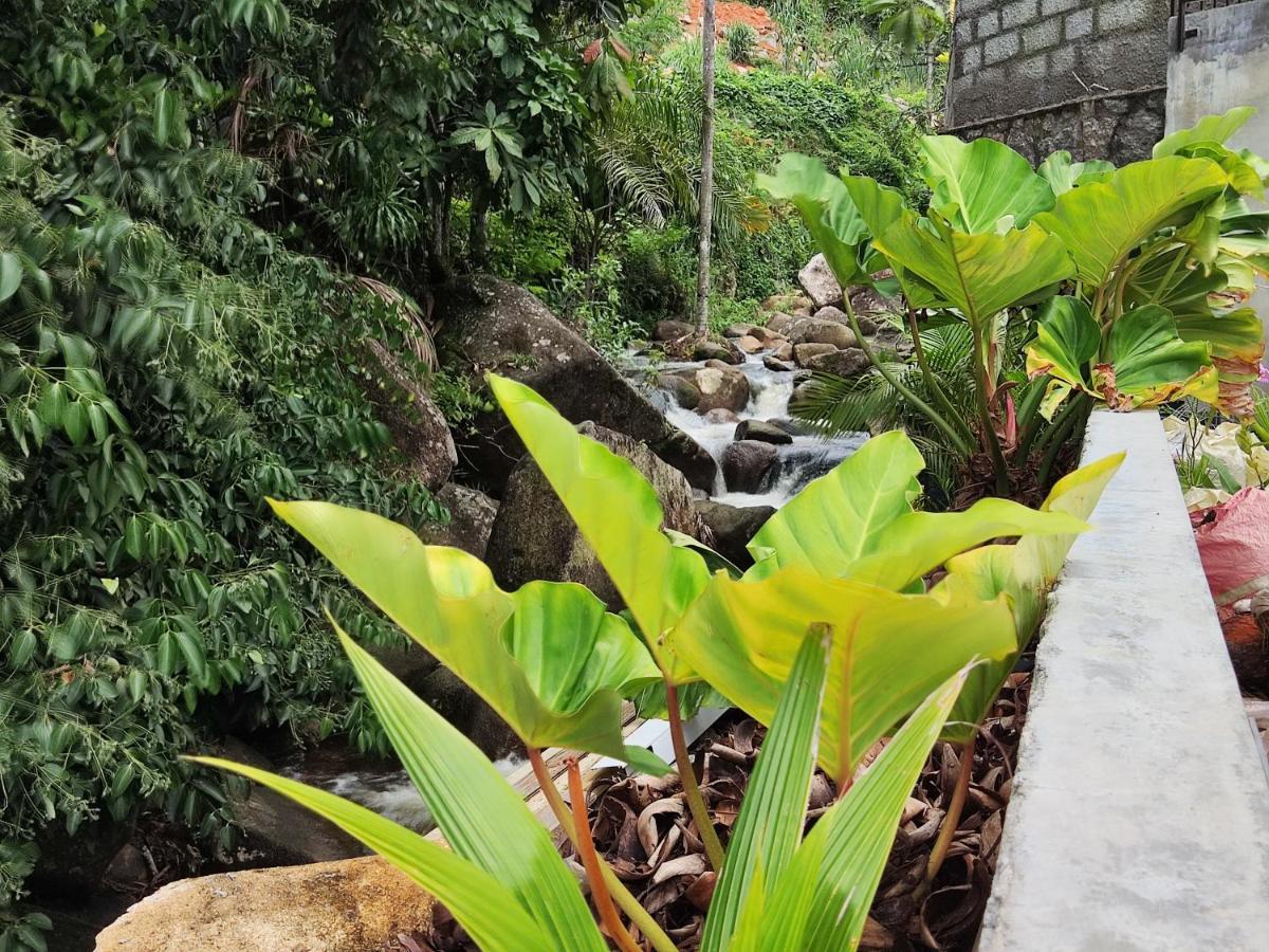 Riverside Mount Simpson - Seychelles Island 보발롱 외부 사진