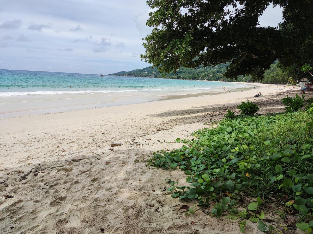 Riverside Mount Simpson - Seychelles Island 보발롱 외부 사진
